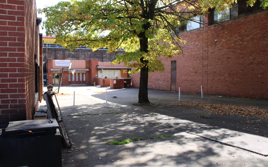 Gathering Space & Urban Garden
